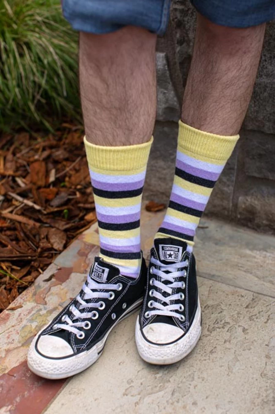 "Dreamer Socks Pride Stripes Colorful Cotton Crew Socks for Men & Women"