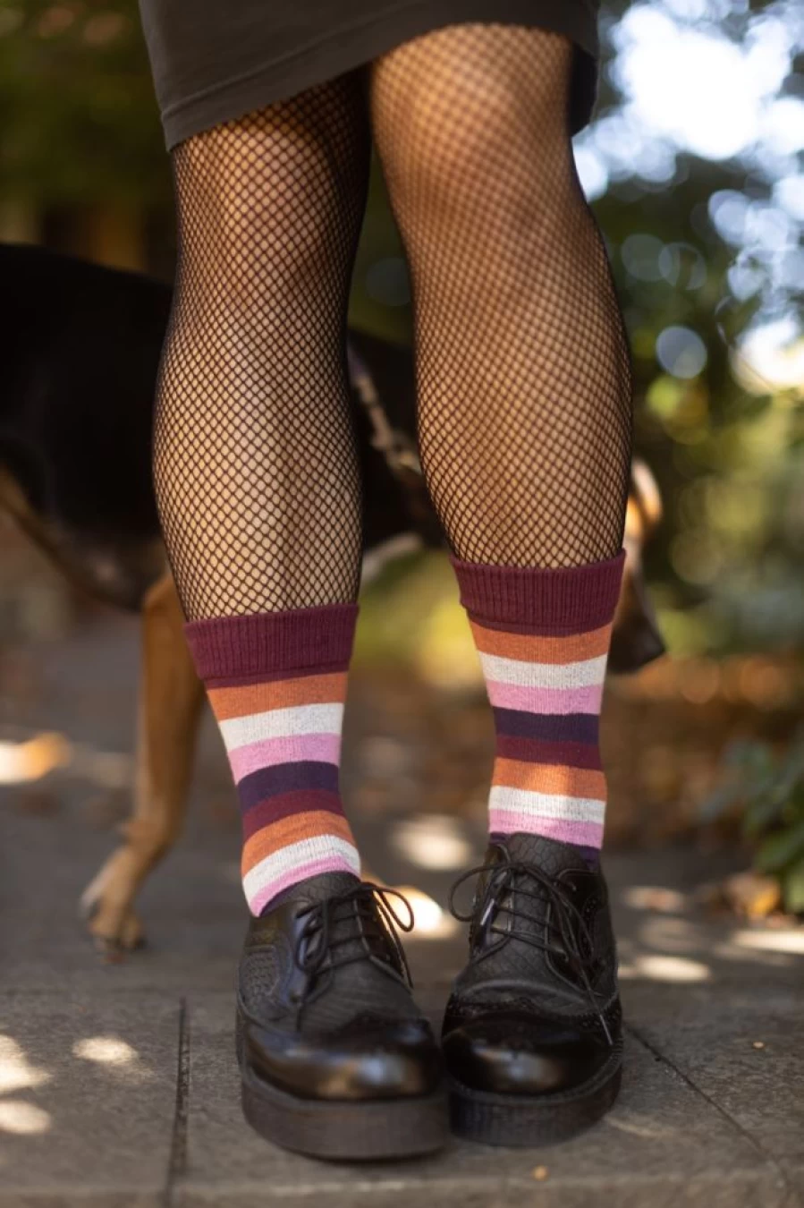 "Dreamer Socks Pride Stripes Colorful Cotton Crew Socks for Men & Women"
