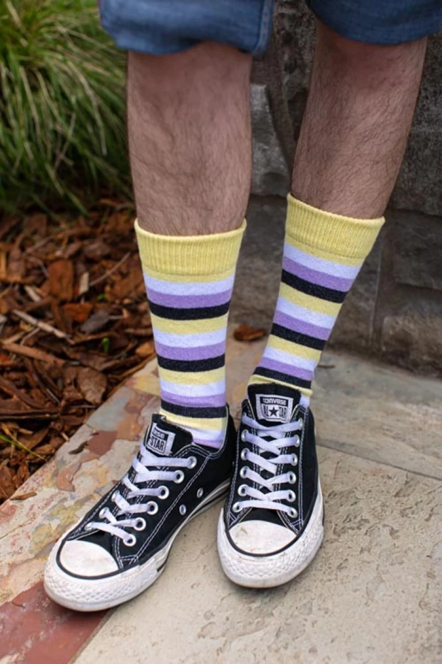 "Dreamer Socks Pride Stripes Colorful Cotton Crew Socks for Men & Women"