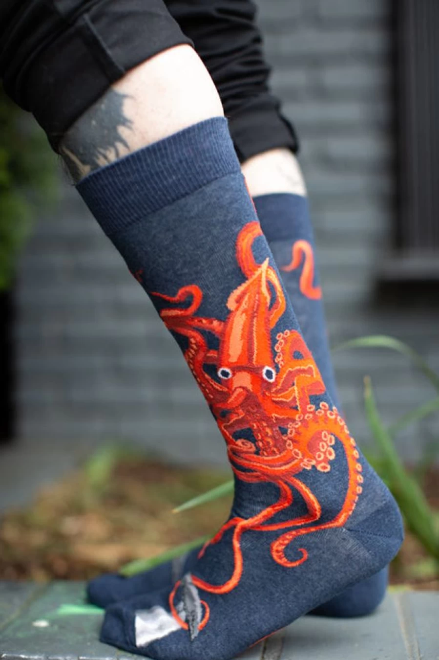 Mod Sock Giant Squid Crew Socks - Funky Novelty Socks for Men & Women