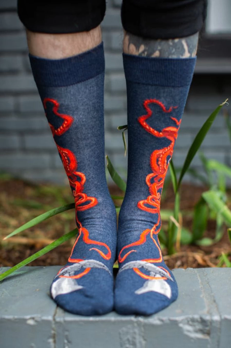 Mod Sock Giant Squid Crew Socks - Funky Novelty Socks for Men & Women