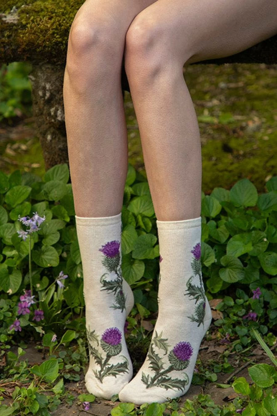 Mod Sock Thistle Crew Socks - Soft, Comfortable & Stylish Unisex Footwear