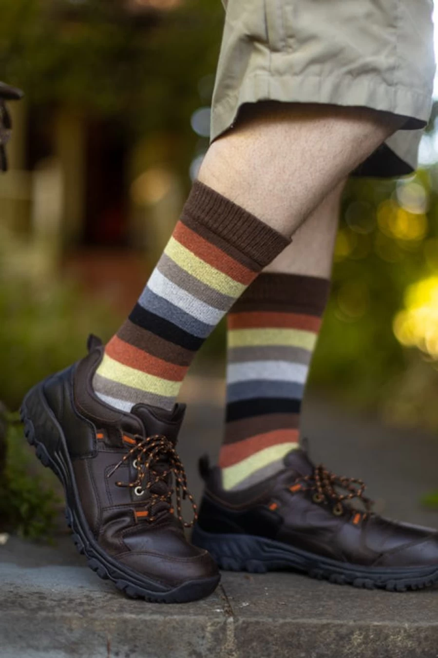 Dreamer Socks Bear Pride Stripes Unisex Crew Tube Socks for Men and Women