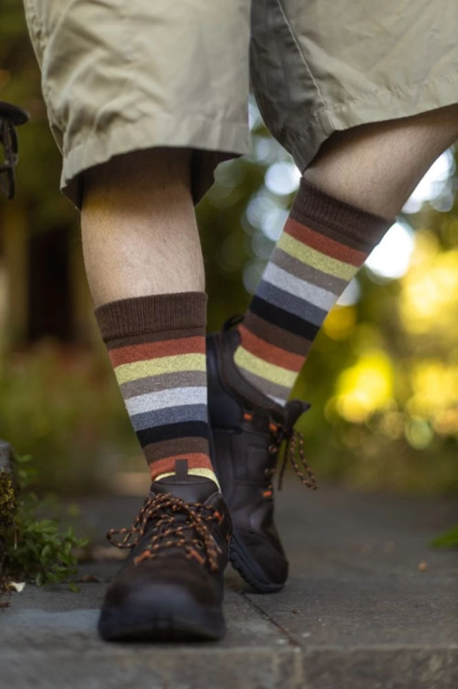 Dreamer Socks Bear Pride Stripes Unisex Crew Tube Socks for Men and Women