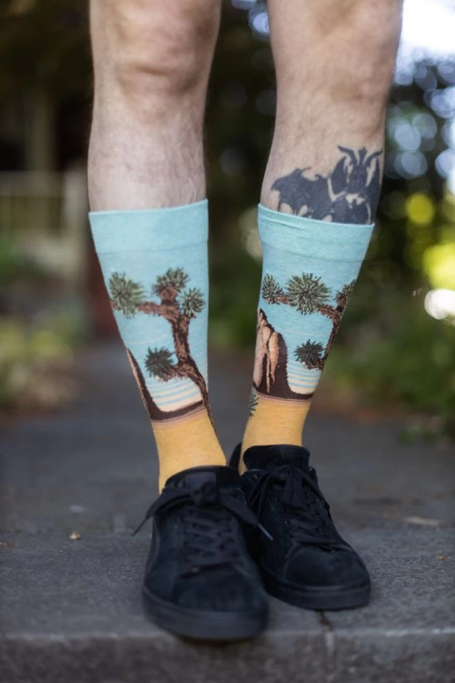Mod Sock Joshua Tree Crew Socks - Hiking & Outdoor Comfort Socks for Men & Women