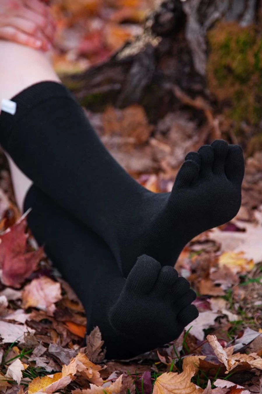 ToeToe Classic Comfort Socks for Men & Women - Soft & Durable Everyday Footwear