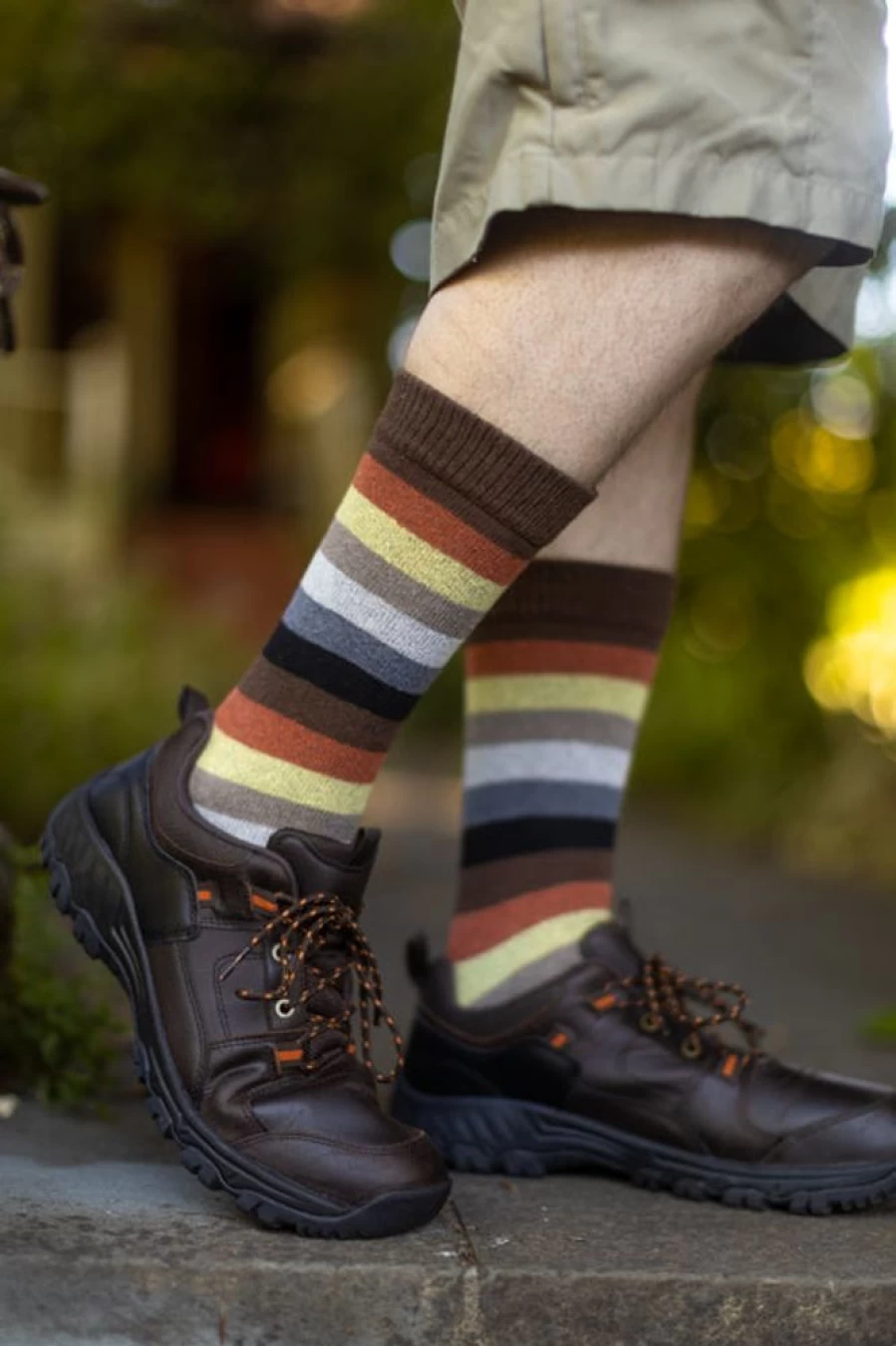 "Dreamer Socks Bear Pride Striped Crew Tube Socks for Men & Women"