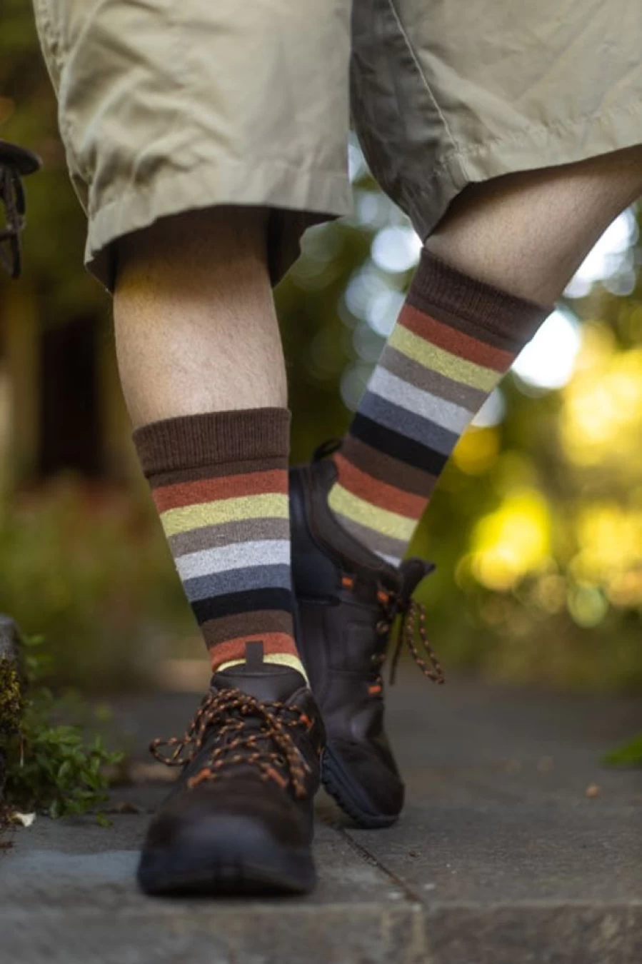 "Dreamer Socks Bear Pride Striped Crew Tube Socks for Men & Women"