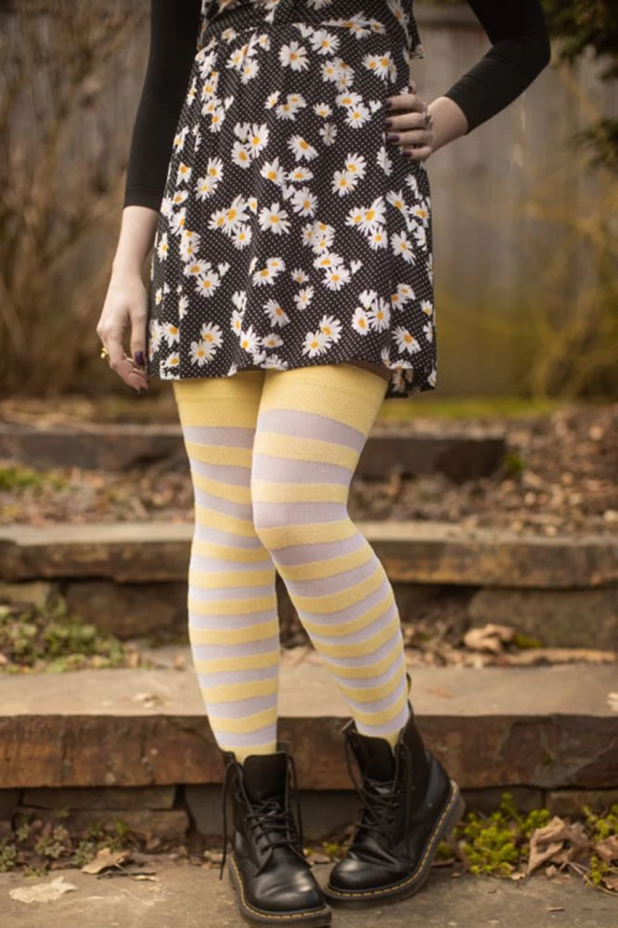 Dreamer Socks Extraordinary Gossamer Stripes Thigh High Stockings - Limited Clearance Colors