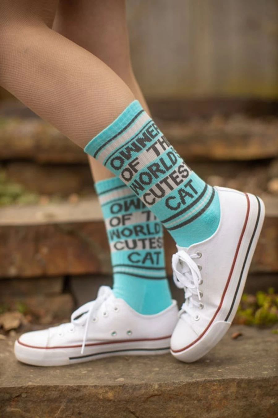 "Gumball Poodle Owner Of The World's Cutest Cat Crew - Exclusive Collectible"