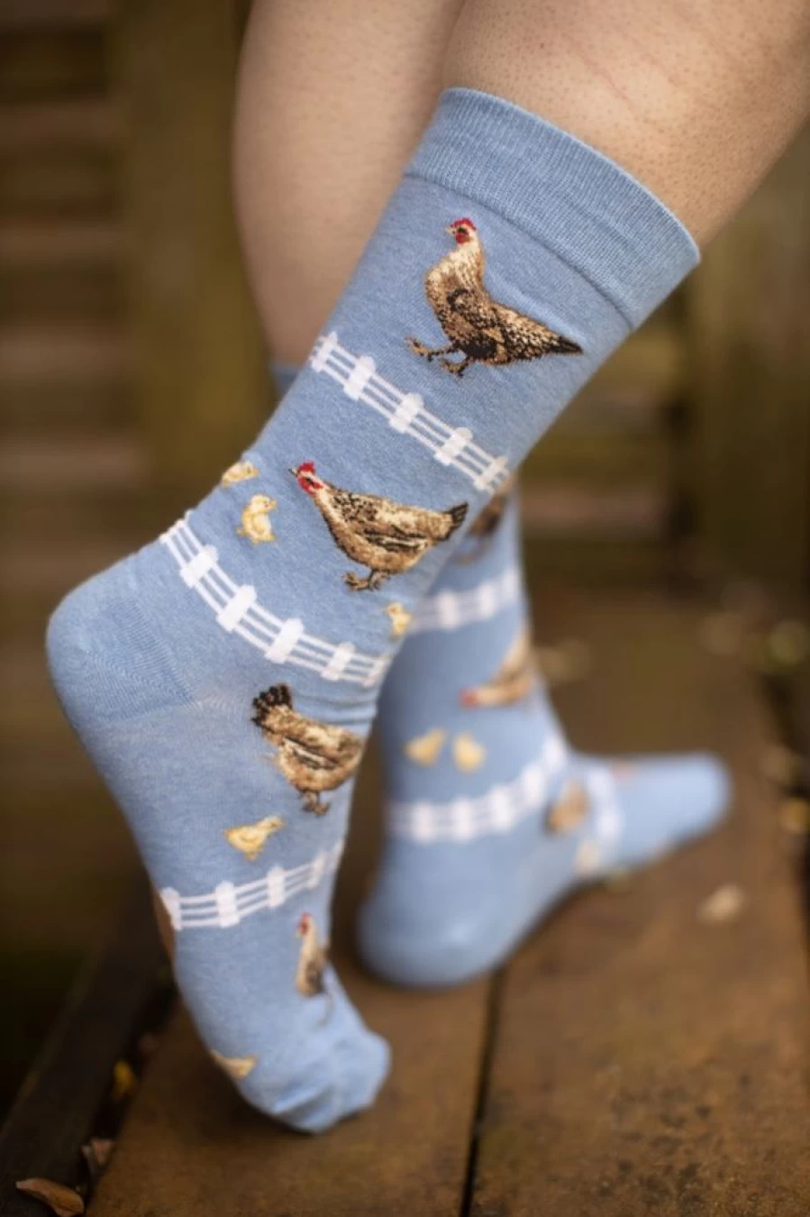 Mod Sock Funny Chickens Crew Novelty Socks for Men and Women - Unique Poultry Design Comfortable Cotton Footwear
