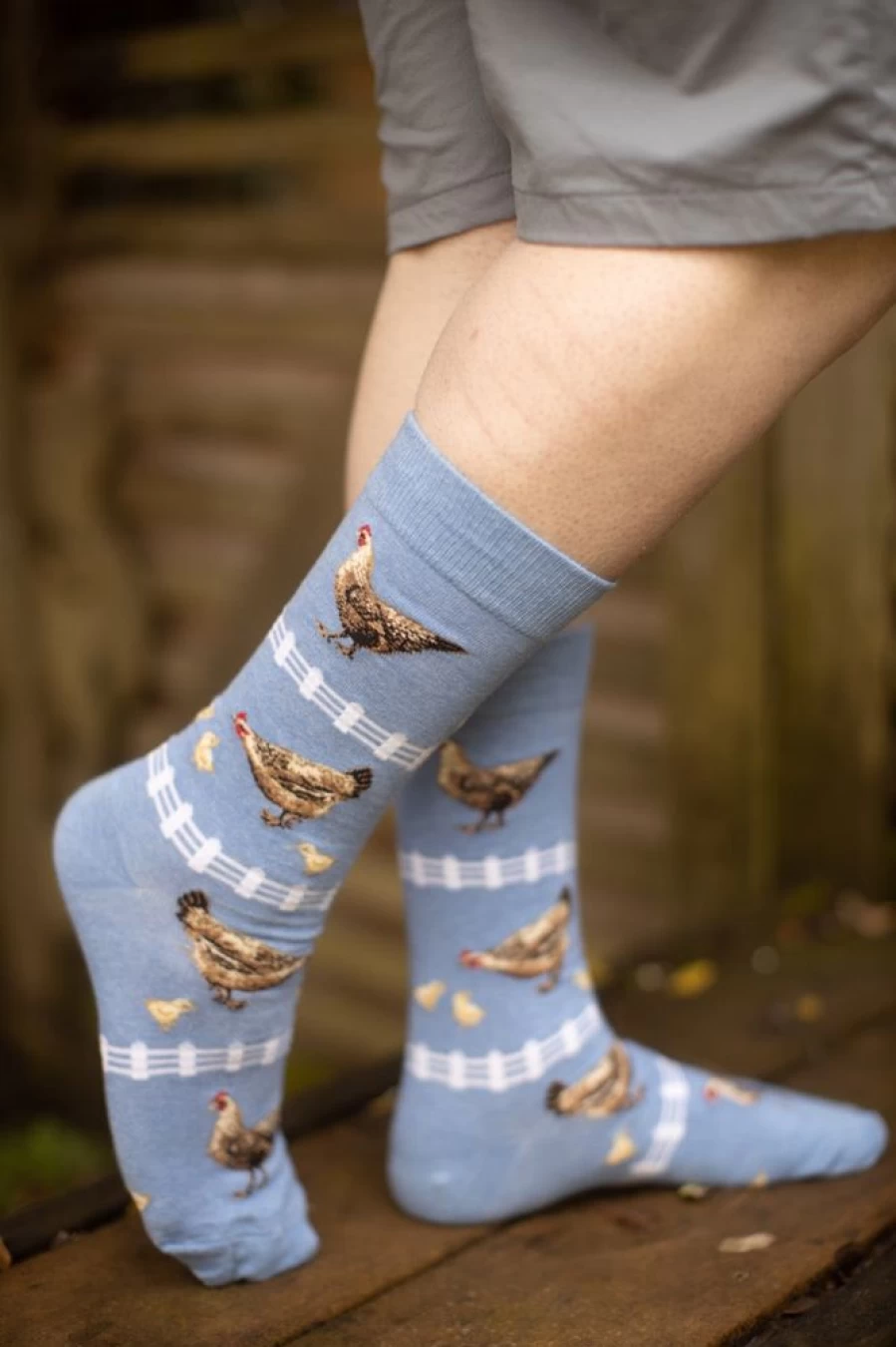 Mod Sock Funny Chickens Crew Novelty Socks for Men and Women - Unique Poultry Design Comfortable Cotton Footwear
