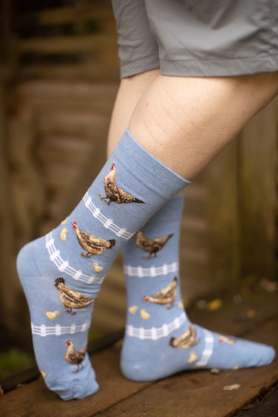 Mod Sock Funny Chickens Crew Socks - Novelty Poultry Animal Design Comfortable Cotton Casual Socks