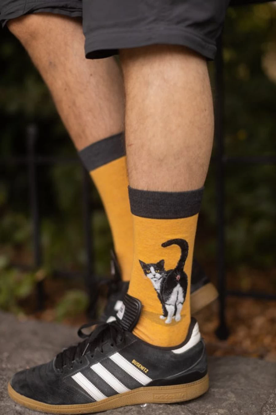 "Mod Sock Funny Tuxedo Cat Butt Crew Socks - Novelty Animal Design Gift"